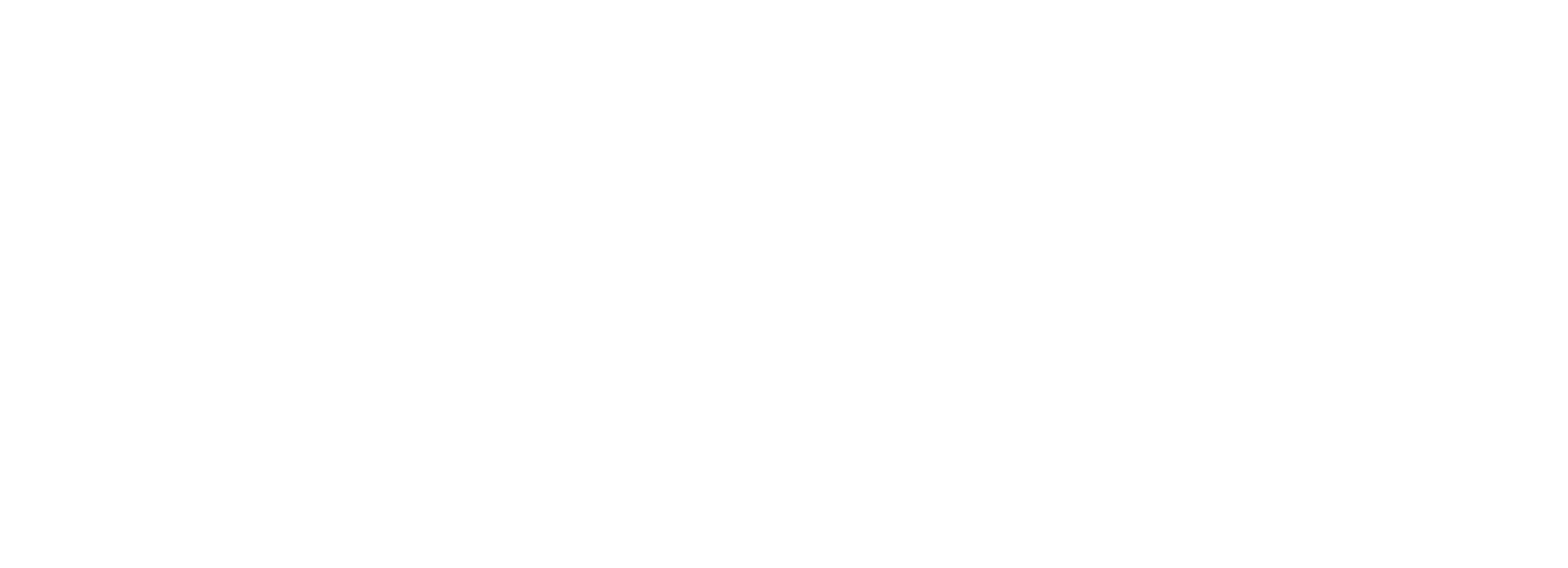 logo-white